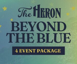 4 Event Pass for Beyond The Blue Concert