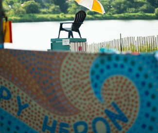 scenery beach happy heron art